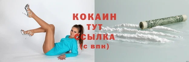мяу мяу кристалл Гусь-Хрустальный
