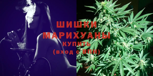 мяу мяу кристалл Гусь-Хрустальный