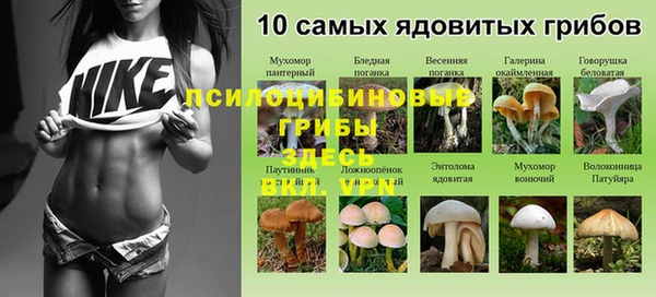 COCAINE Гусиноозёрск