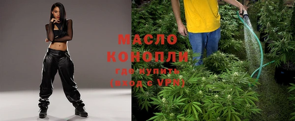 мяу мяу кристалл Гусь-Хрустальный