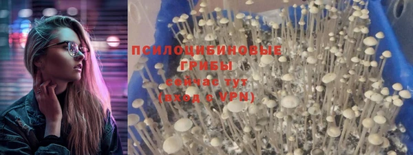 мяу мяу кристалл Гусь-Хрустальный