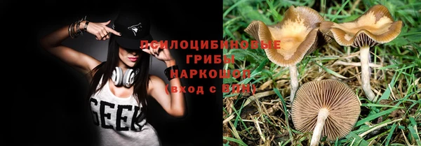 COCAINE Гусиноозёрск