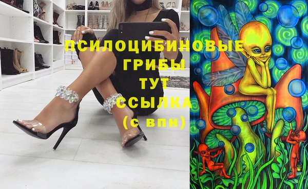 мяу мяу кристалл Гусь-Хрустальный