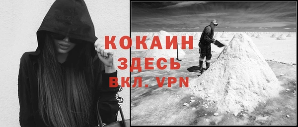мяу мяу кристалл Гусь-Хрустальный