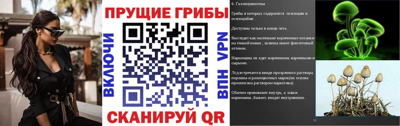 Галлюциногенные грибы Cubensis  купить  цена  OMG онион  Меленки 
